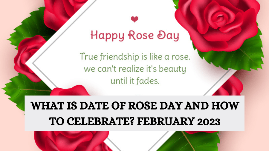 What is date of rose day and how to celebrate? February 2023